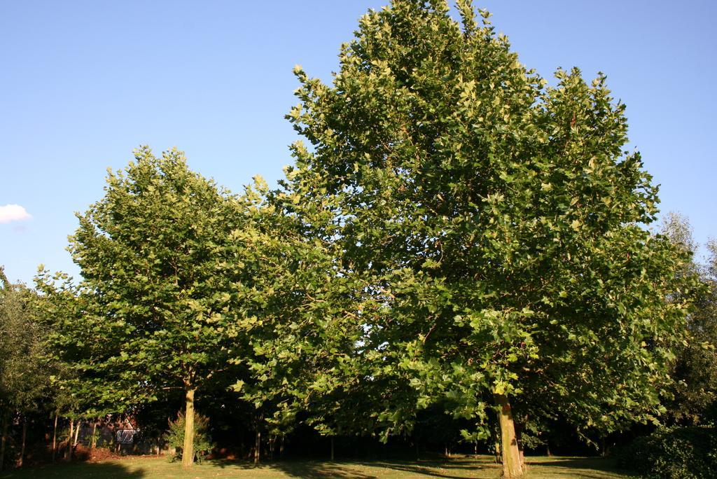 B&B Horpala Heers Exteriér fotografie